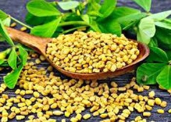 মেথি মিক্স ১