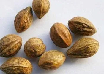 মেথি মিক্স ২